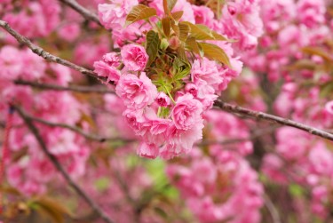 金华金东区线下个人借款平台一站式服务，轻松解决资金难题