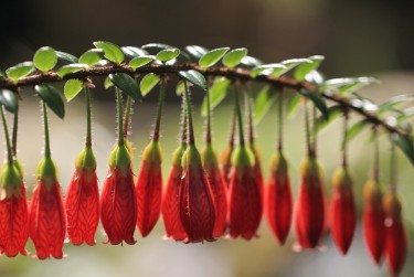 金华金东区零用贷短借：轻松解决临时资金需求